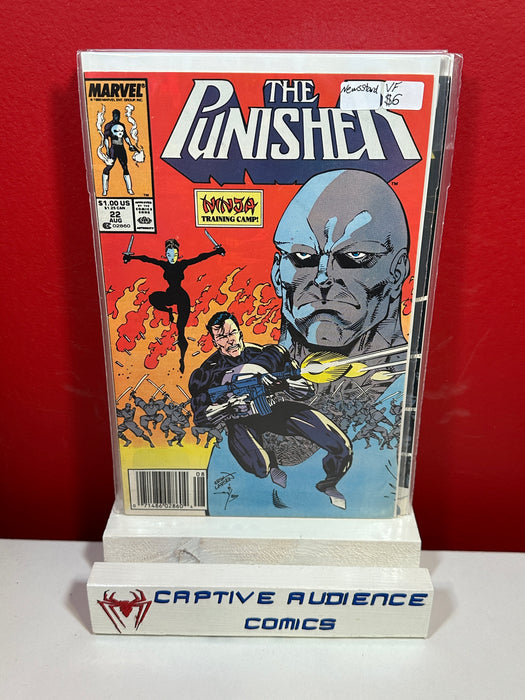 Punisher, The Vol. 2 #22 - Newsstand - VF