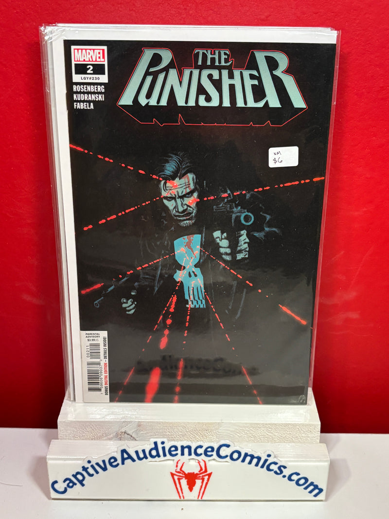 Punisher, The Vol. 12 #2 - NM