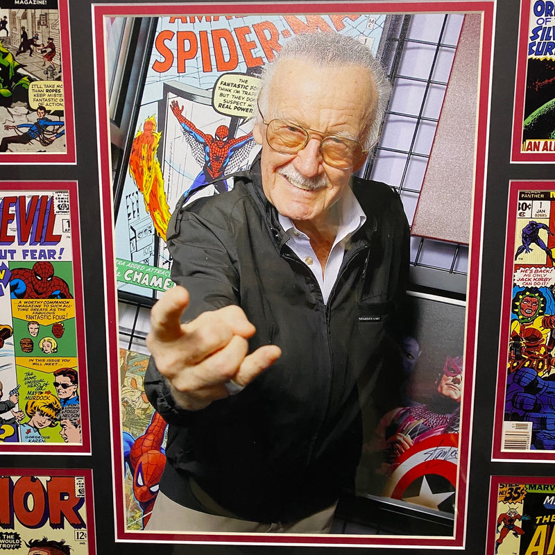 Framed Stan Lee Collage - 28" X 30"