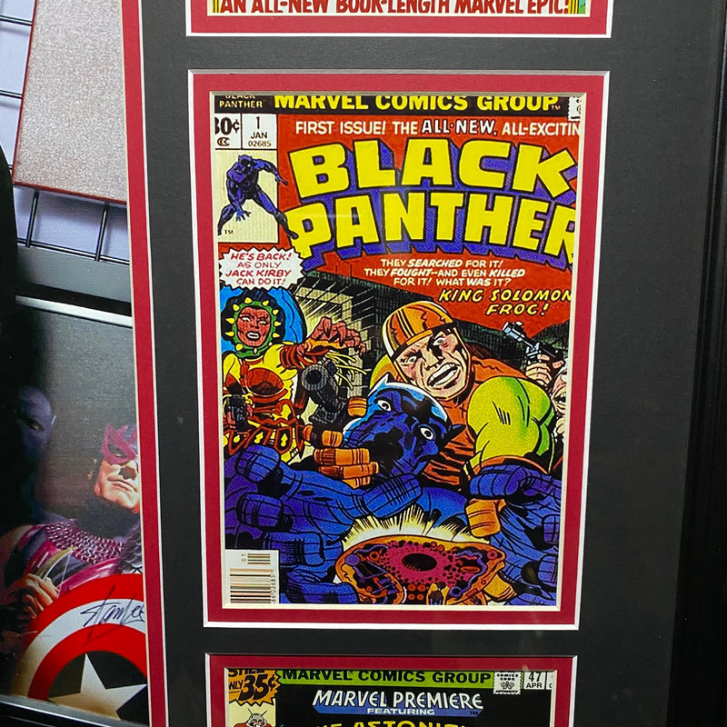 Framed Stan Lee Collage - 28" X 30"