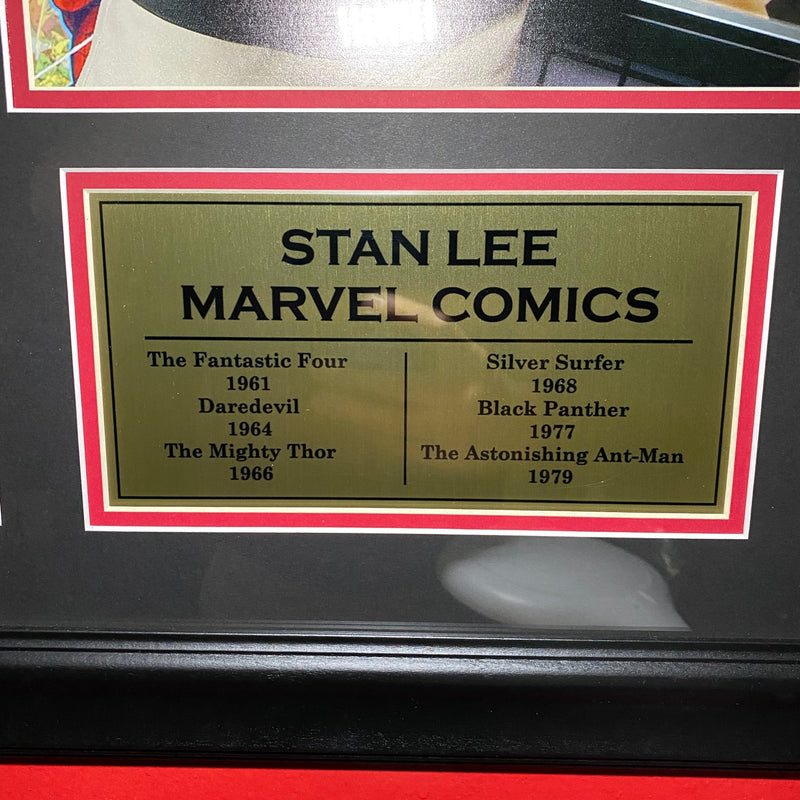 Framed Stan Lee Collage - 28" X 30"