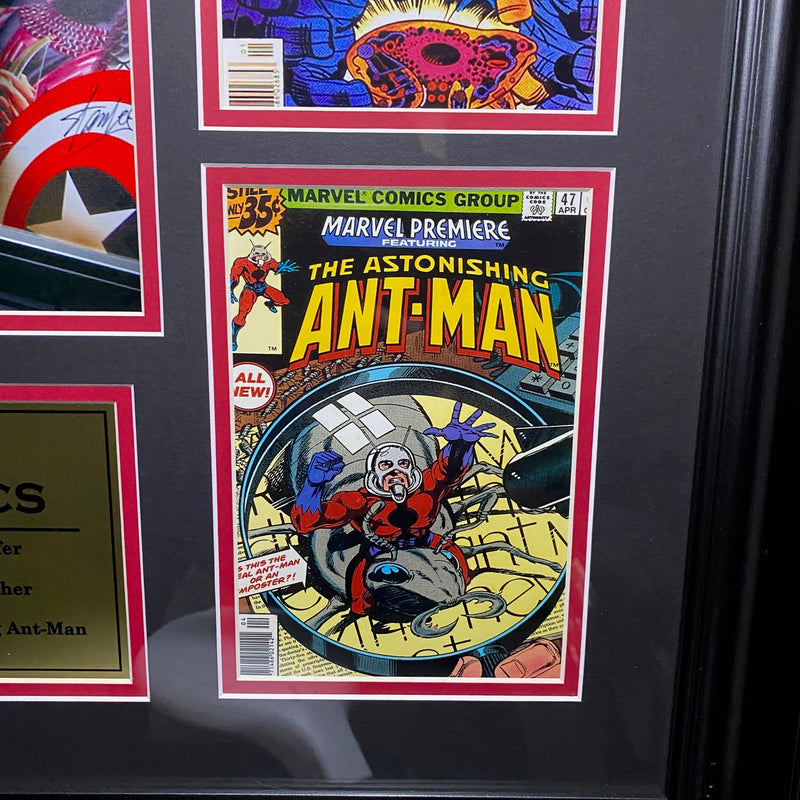 Framed Stan Lee Collage - 28" X 30"