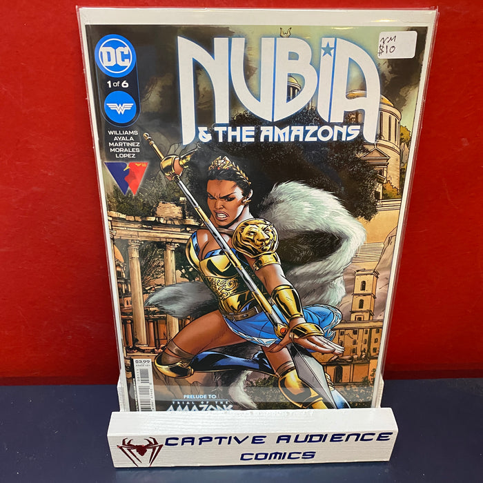 Nubia and the Amazons #1 - NM